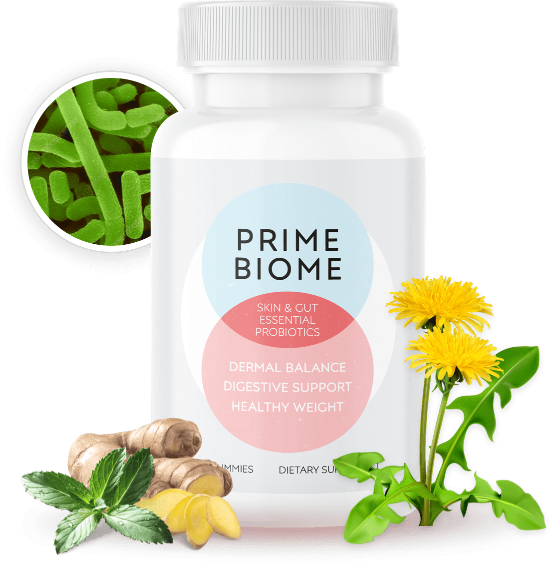 PrimeBiome probiotic supplement bottle
